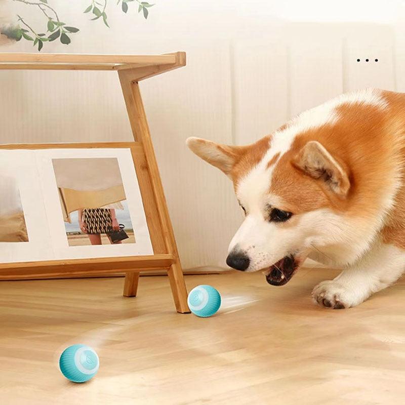 Smart Rolling Silicone Toy Ball - Cat - (Pink, Blue)