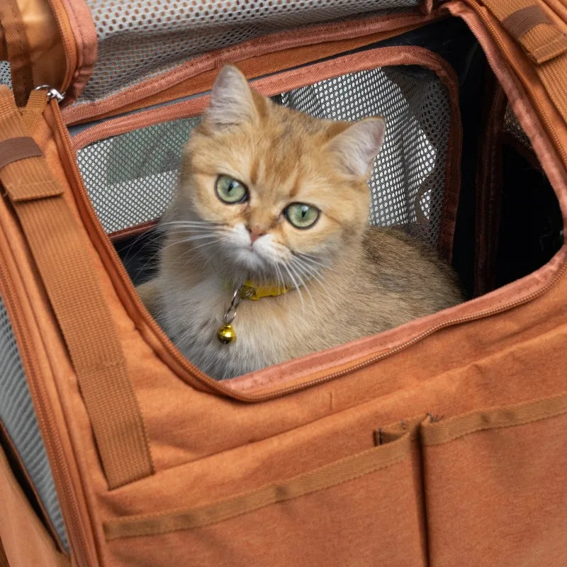 Expandable Pet Carrier Backpack - Dog Cat  - (Adjustable Straps) - (Grey, Brown) - (While Supplies Last)