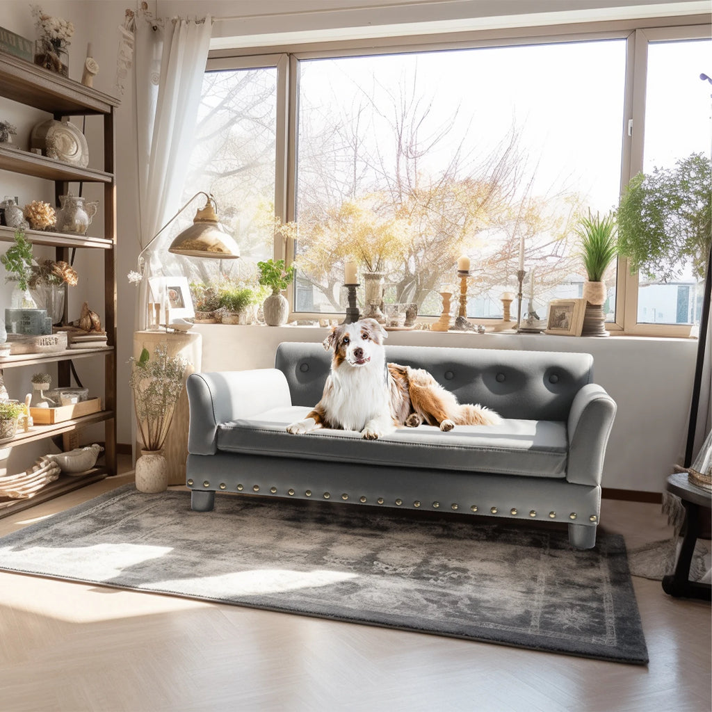 Elevated Sofa Bed with Leather Cover - Dog