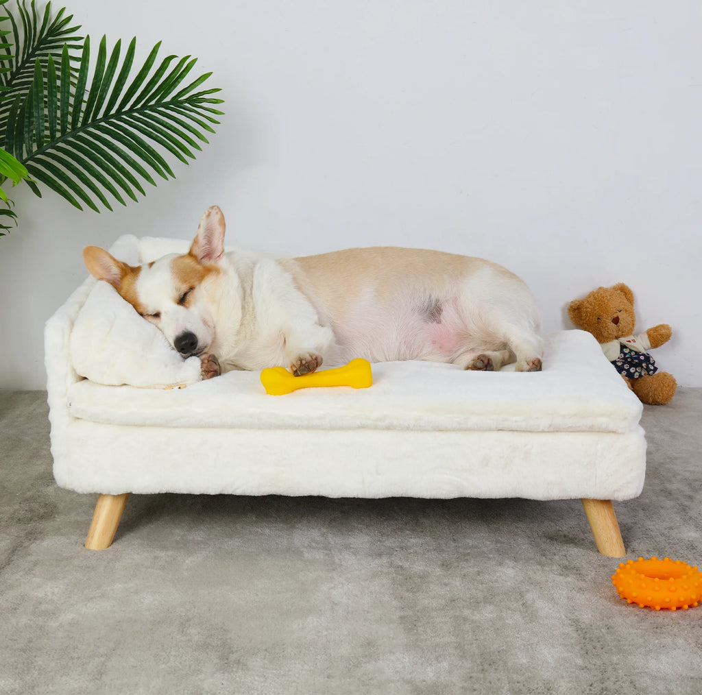 Elevated Solid Wood Leg Plush Couch - Dog Cat