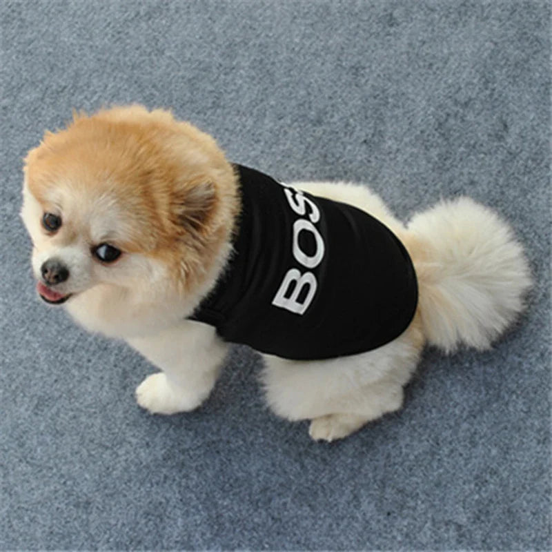 Security Summer T-Shirt - Dog -  (10 Color/Style Options) - (XS-L) - While Supplies Last