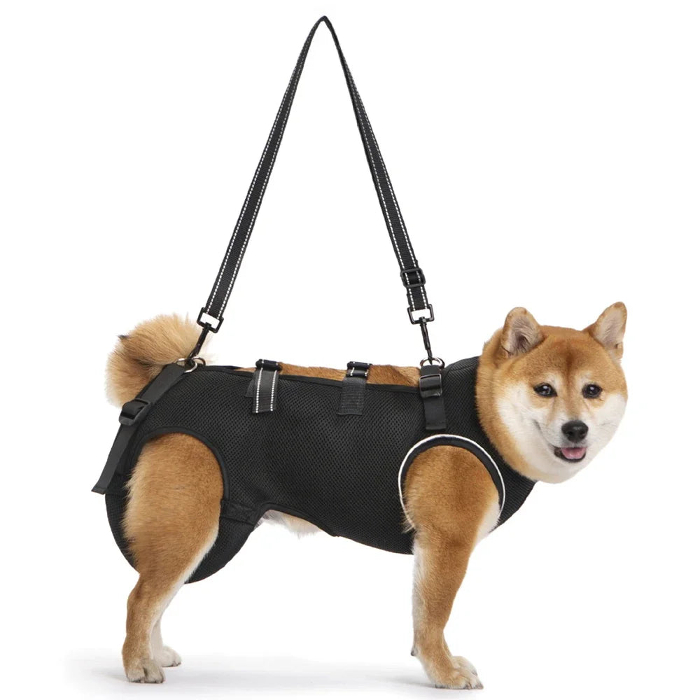 Disabled Elderly Dog Exercise Assist Belt - (XS -XL) (8 Color/Style Options)