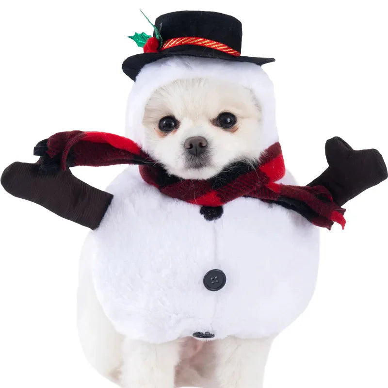 Funny and Festival Costumes - Dog Cat - (S-XL) - (19 Style Options)