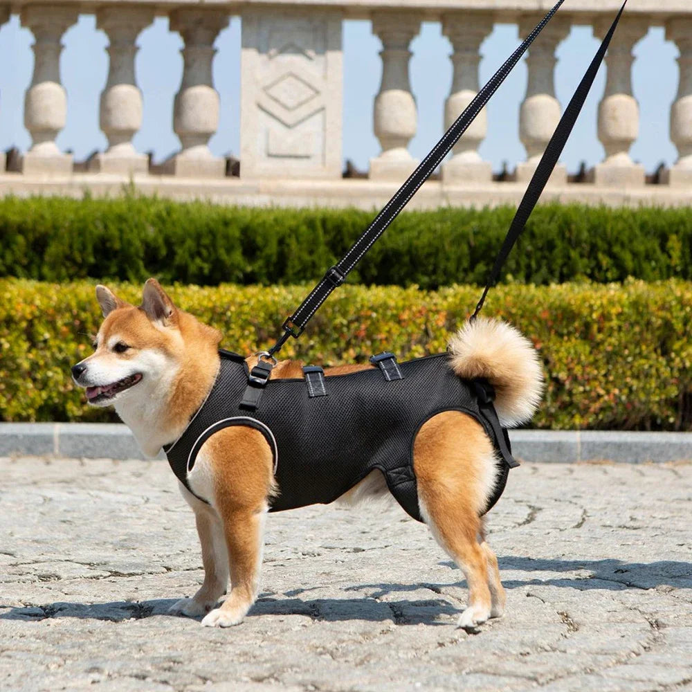 Disabled Elderly Dog Exercise Assist Belt - (XS -XL) (8 Color/Style Options)