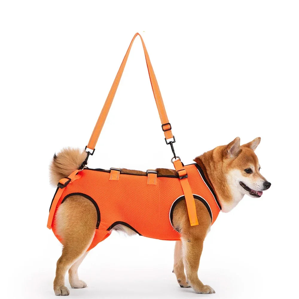 Disabled Elderly Dog Exercise Assist Belt - (XS -XL) (8 Color/Style Options)