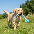Dog Rope & Rubber Teething Ball, Treat Dispenser