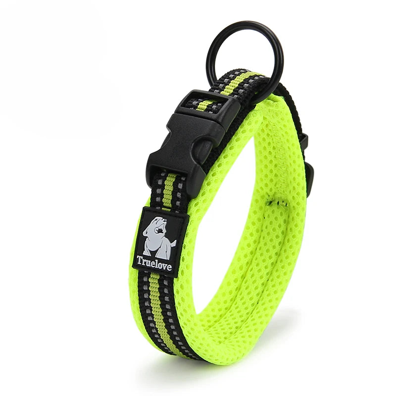 Durable Padded Collar - (Grassgreen) - Dog (While Supplies Last)