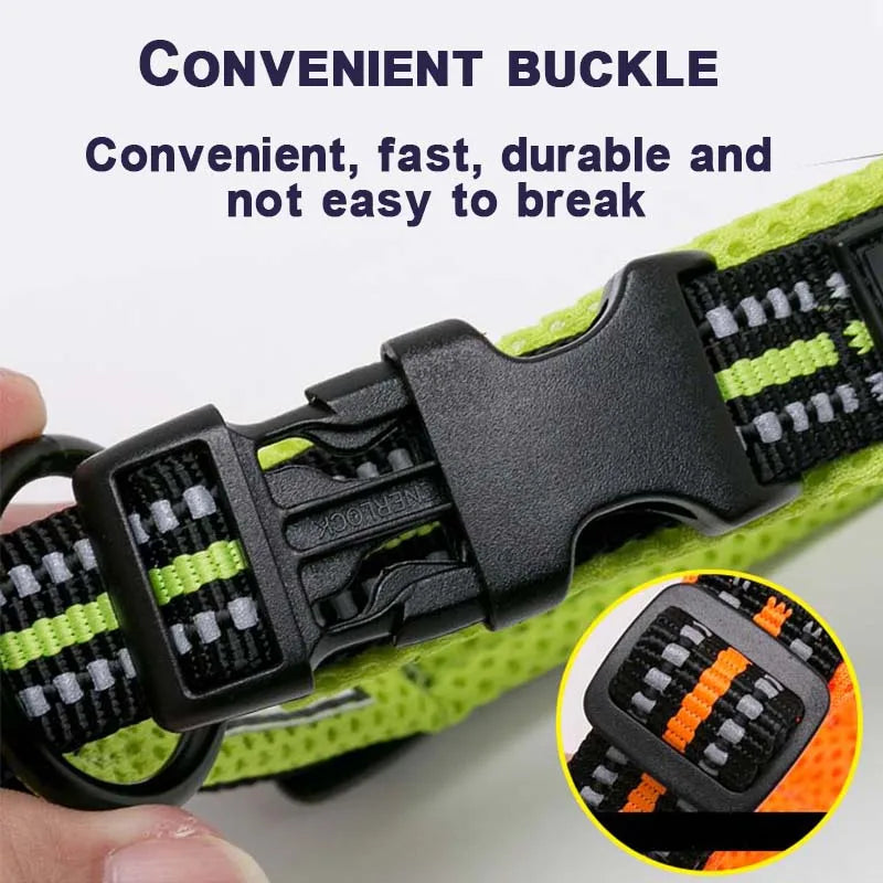 Durable Padded Collar - (Grassgreen) - Dog (While Supplies Last)