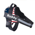 Personalized NO PULL Reflective Breathable Training Harness - (11 Color Options) -  (Sm-XL) - Dog