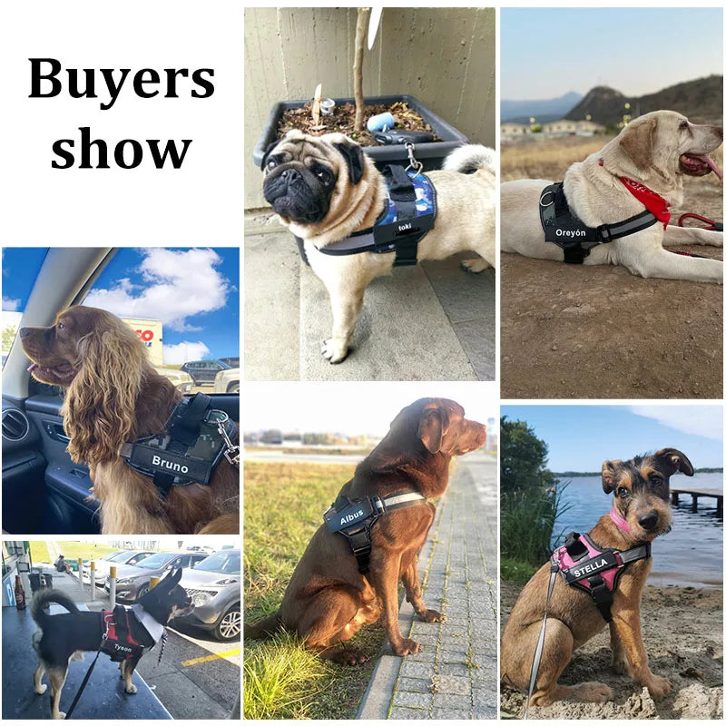 Personalized NO PULL Reflective Breathable Training Harness - (11 Color Options) -  (Sm-XL) - Dog
