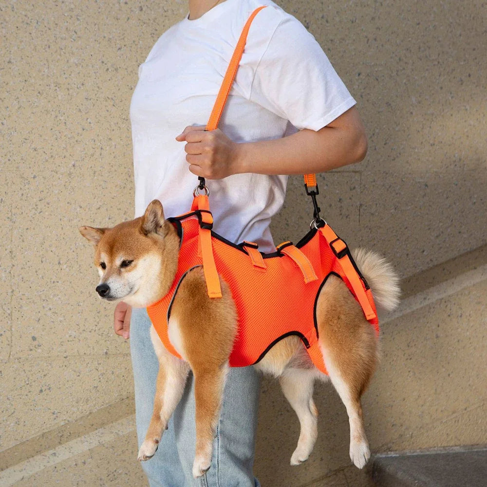 Disabled Elderly Dog Exercise Assist Belt - (XS -XL) (8 Color/Style Options)