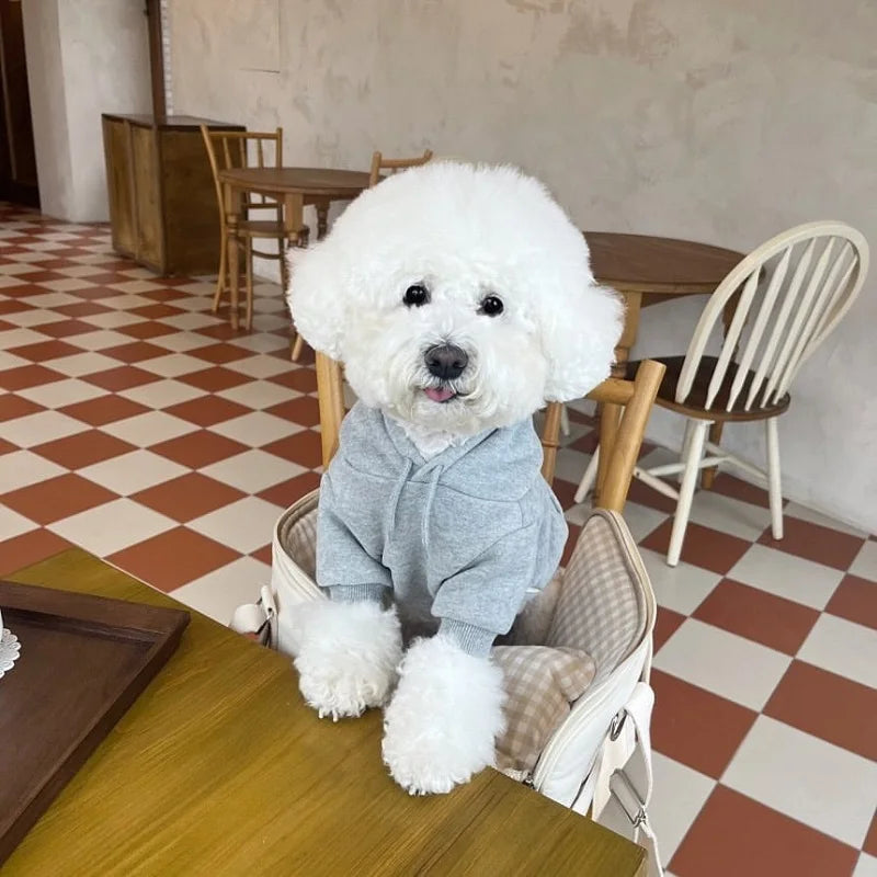 Fashionable Dog Hoodie