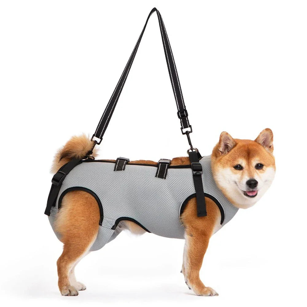 Disabled Elderly Dog Exercise Assist Belt - (XS -XL) (8 Color/Style Options)