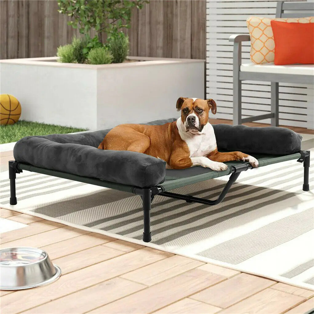 Elevated Breathable Mesh Bed - Dog