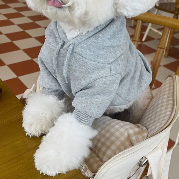 Fashionable Dog Hoodie