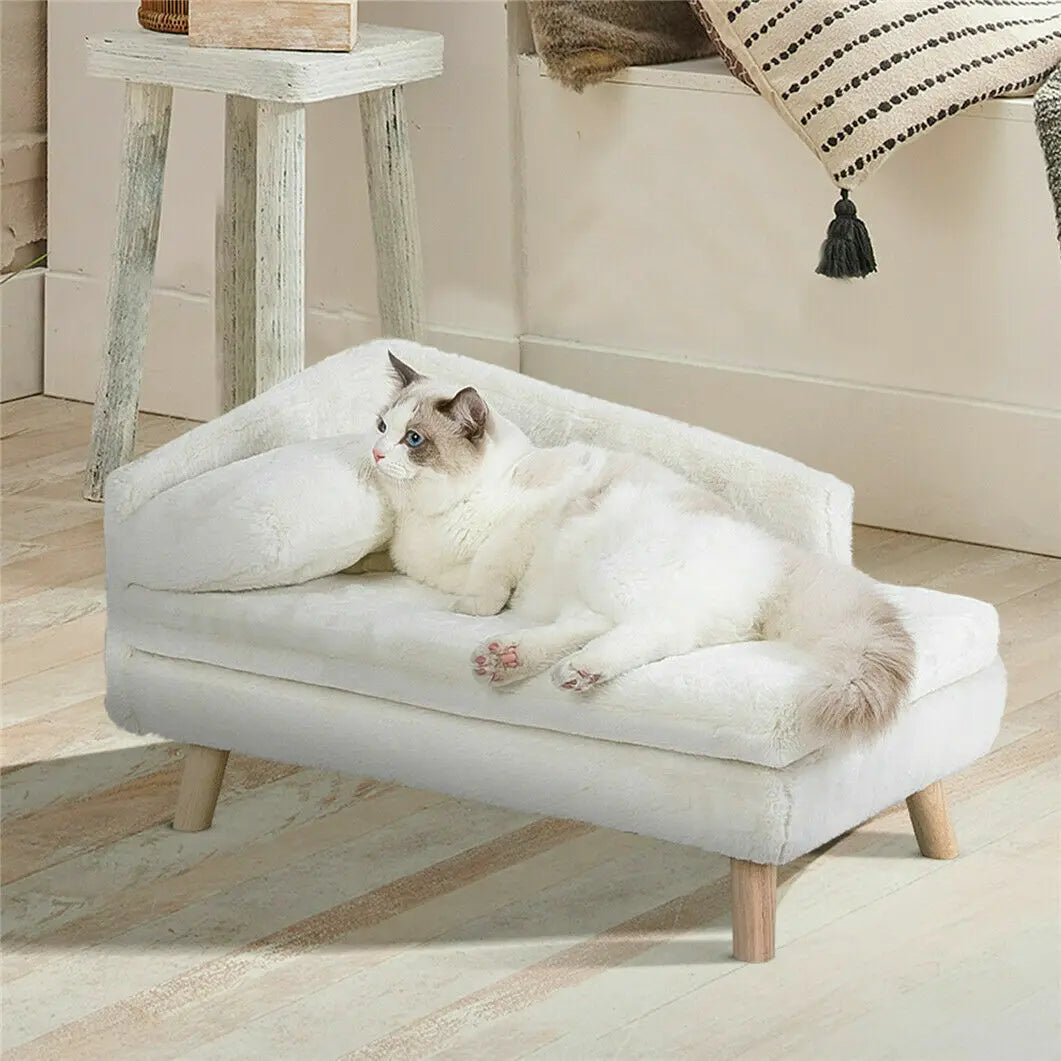 Elevated Solid Wood Leg Plush Couch - Dog Cat