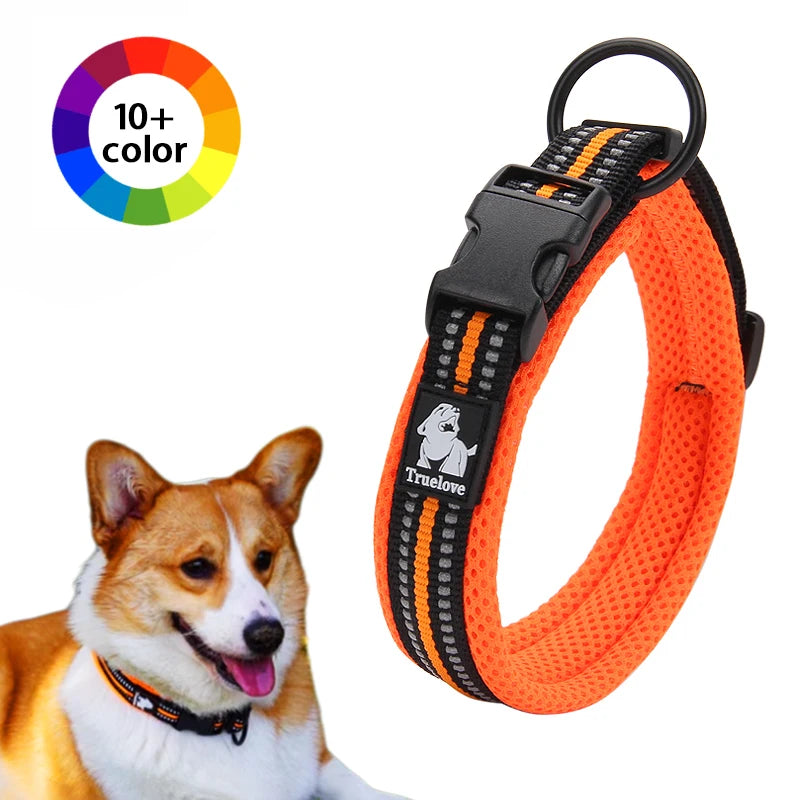 Durable Padded Collar - (Grassgreen) - Dog (While Supplies Last)