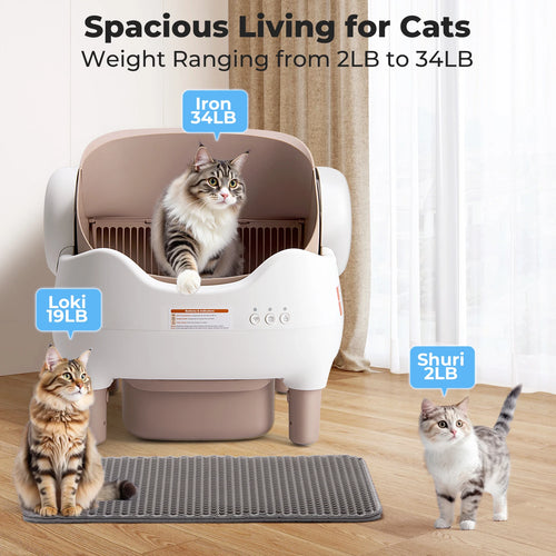 Automatic Self-Cleaning Robot Litter Box with App Control - Cat - (Open Top) - (10 L Bin) - (White & Khaki)