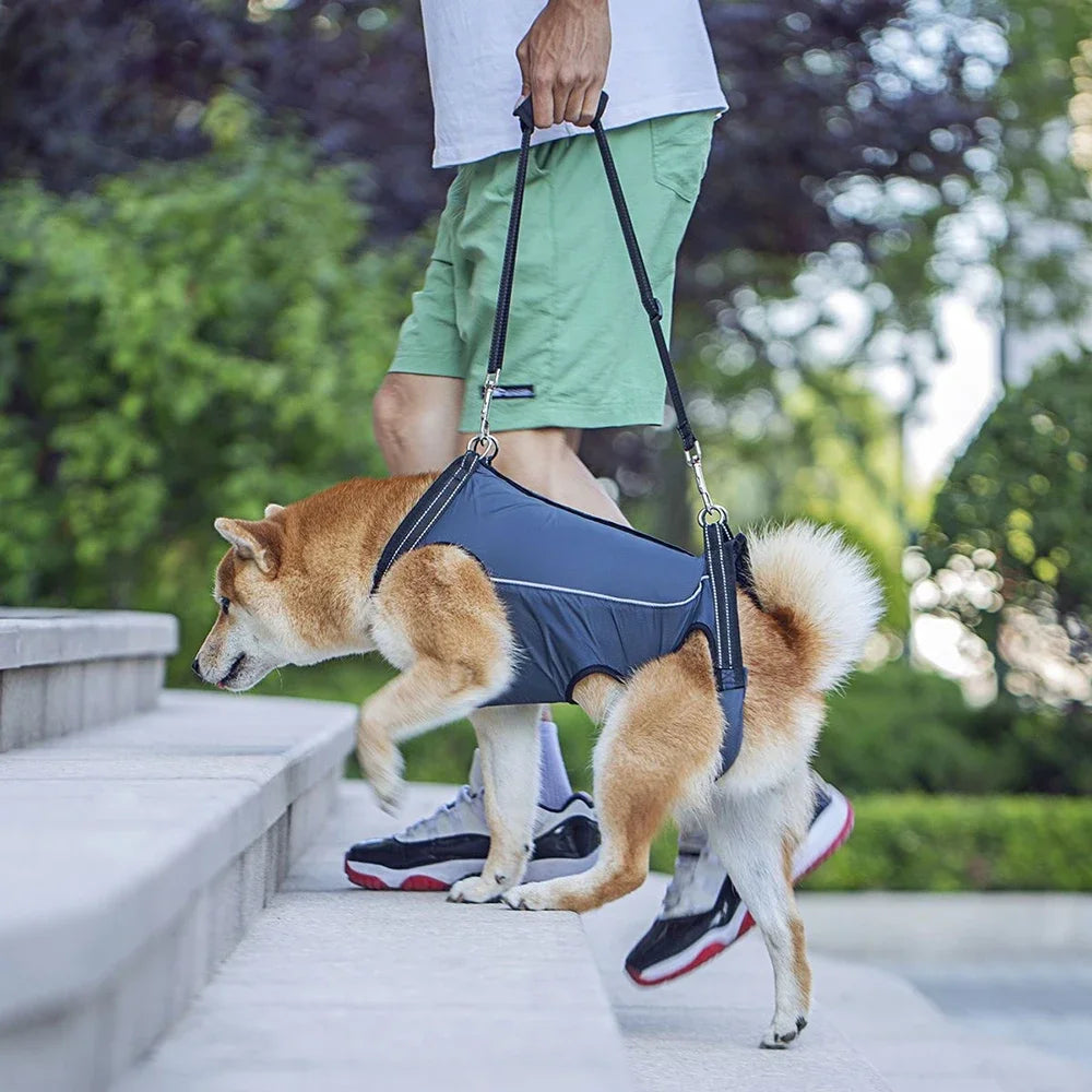 Disabled Elderly Dog Exercise Assist Belt - (XS -XL) (8 Color/Style Options)