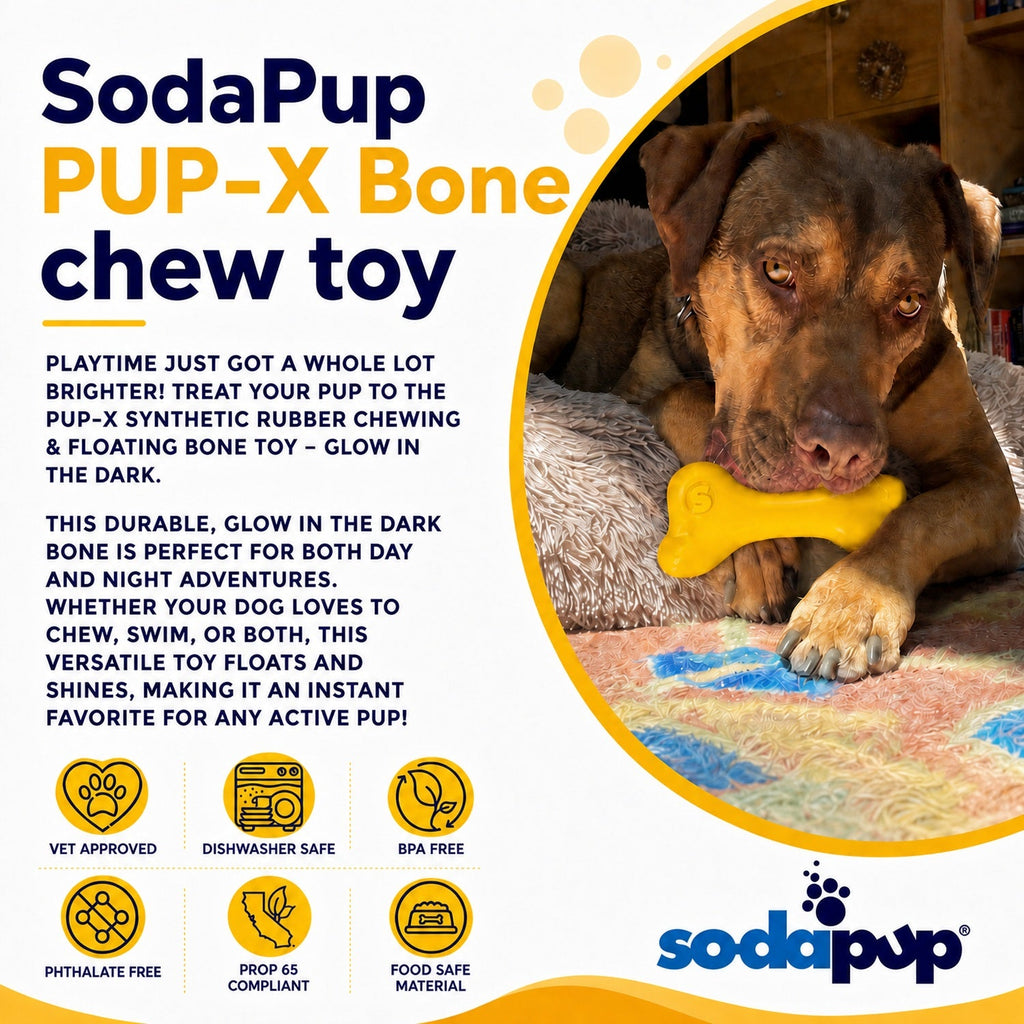 PUP-X Rubber Bone Chew Toy - Dog - (Floats) - (M, L) - (Blue, Yellow, Glow in the Dark Green) - (SodaPup) - (While Supplies Last)