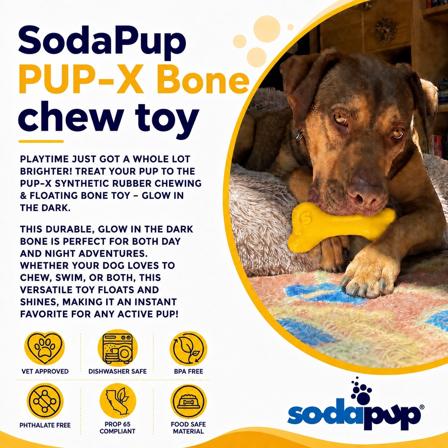PUP-X Rubber Bone Chew Toy - Dog - (Floats) - (M, L) - (Blue, Yellow, Glow in the Dark Green) - (SodaPup) - (While Supplies Last)