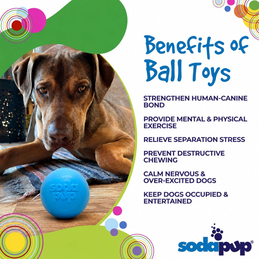 Squeak Ball Chew Toy - Dog  - (Floats) - (M,L) - (Rubber) - (5 Color Options) -  (SodaPup)