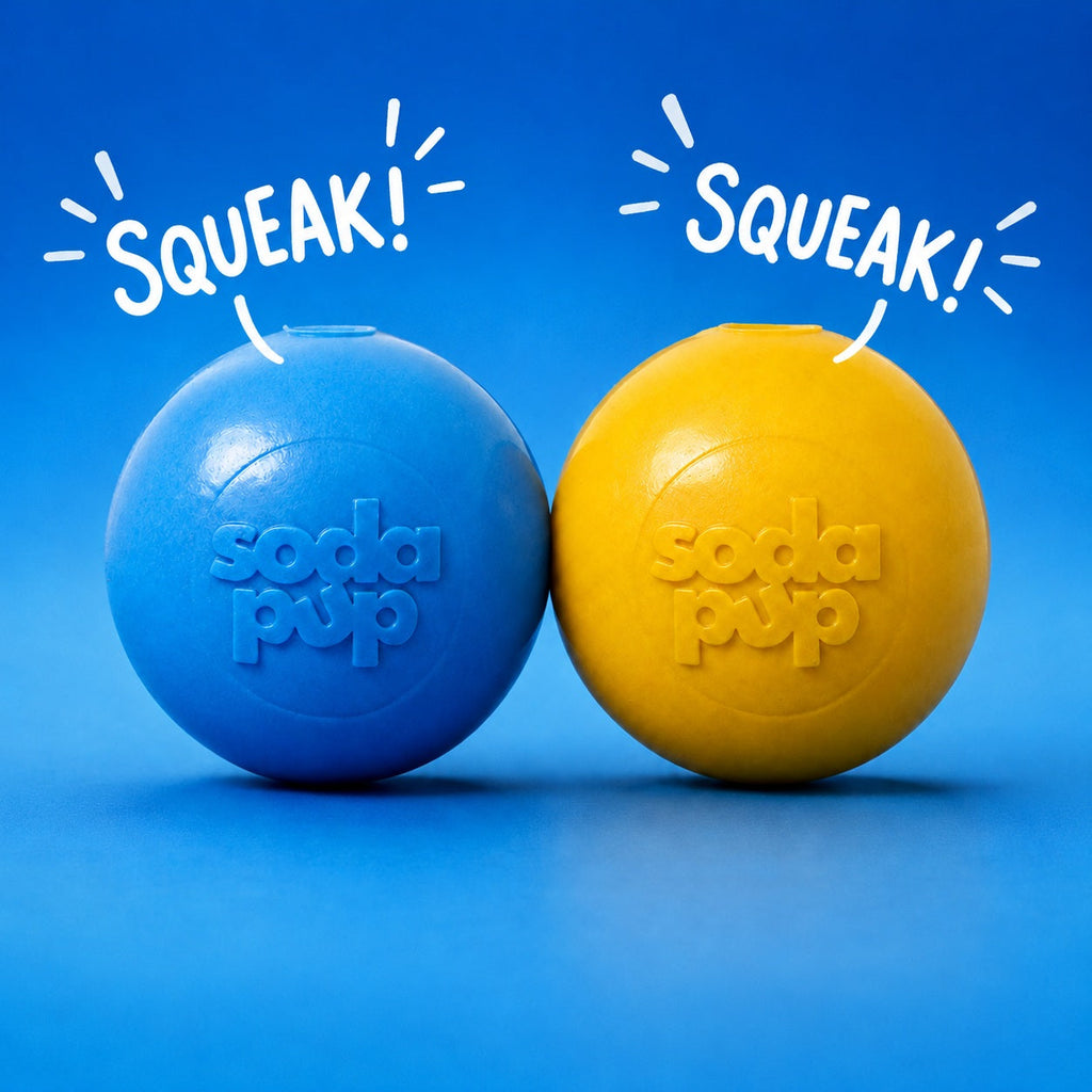 Squeak Ball Chew Toy - Dog  - (Floats) - (M,L) - (Rubber) - (5 Color Options) -  (SodaPup)