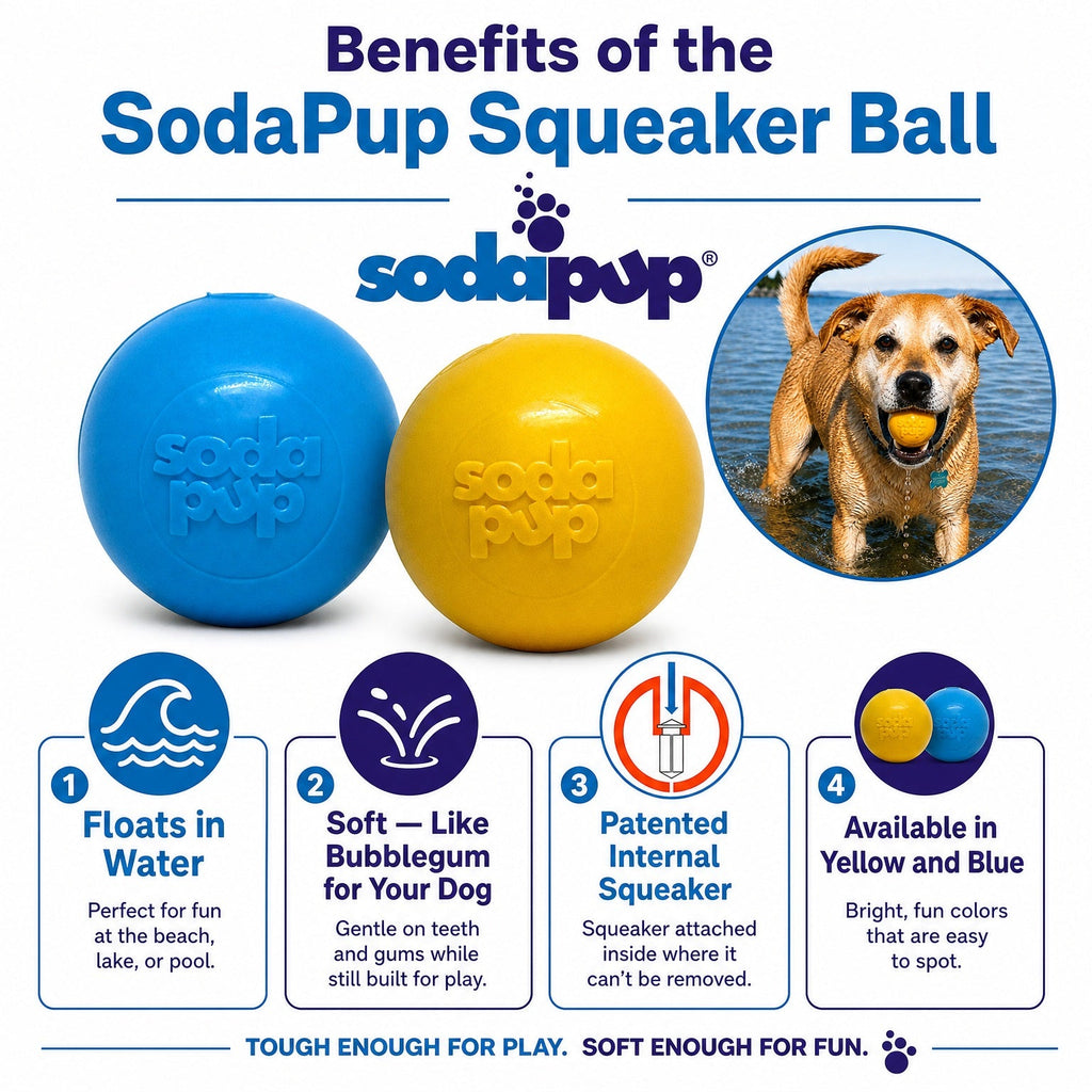 Squeak Ball Chew Toy - Dog  - (Floats) - (M,L) - (Rubber) - (5 Color Options) -  (SodaPup)