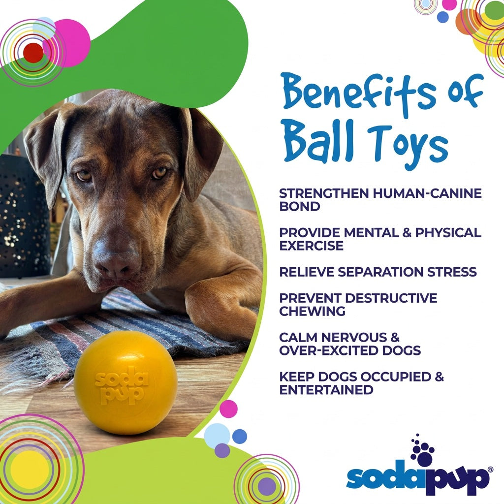 Squeak Ball Chew Toy - Dog  - (Floats) - (M,L) - (Rubber) - (5 Color Options) -  (SodaPup)