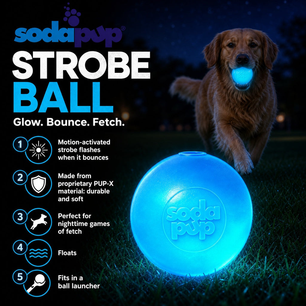 Strobe Ball Light-Up Chew Toy - Dog - (Floating) - (Rubber) - (Blue) -  (SodaPup) - (While Supplies Last)
