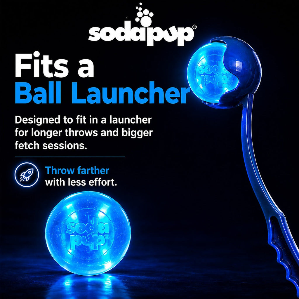 Strobe Ball Light-Up Chew Toy - Dog - (Floating) - (Rubber) - (Blue) -  (SodaPup) - (While Supplies Last)