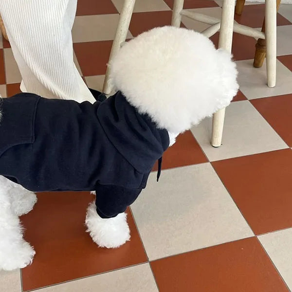 Fashionable Dog Hoodie