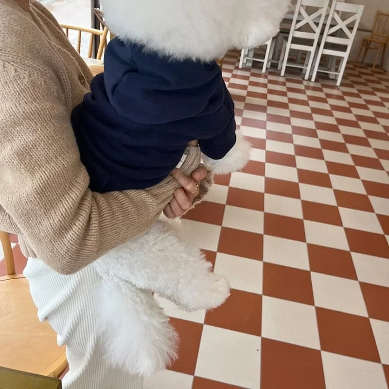 Fashionable Dog Hoodie