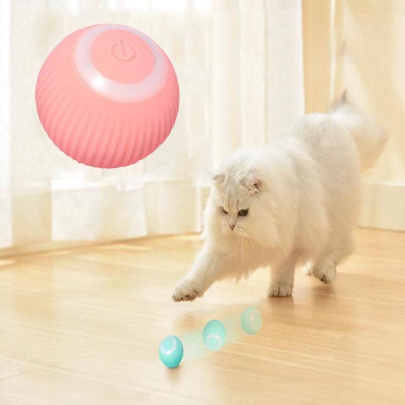 Smart Rolling Silicone Toy Ball - Cat - (Pink, Blue)