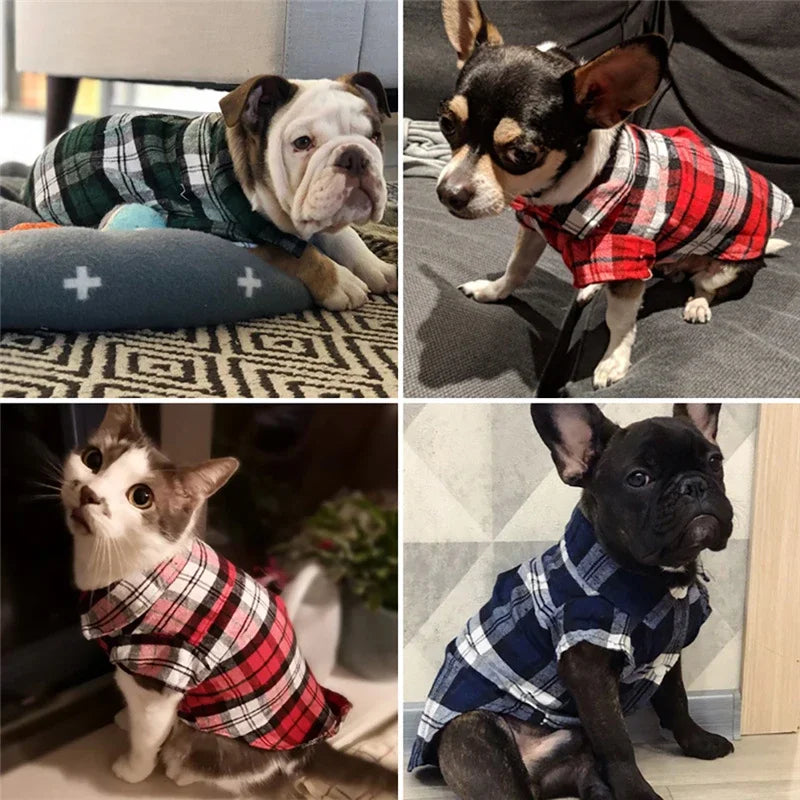 British Plaid Lightweight Cotton Shirt - Dog Cat - (3 Color Options) - (XS-XL)