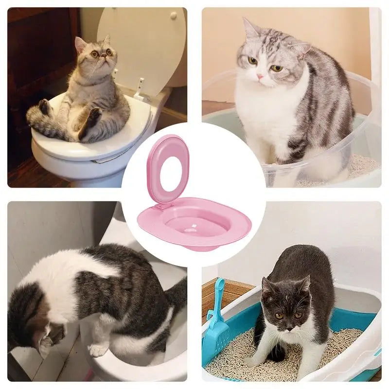 Toilet and Litter Box Trainer - Cat - (Reusable Urinal Seat) - (Pink, Blue)