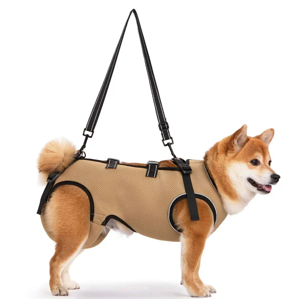 Disabled Elderly Dog Exercise Assist Belt - (XS -XL) (8 Color/Style Options)