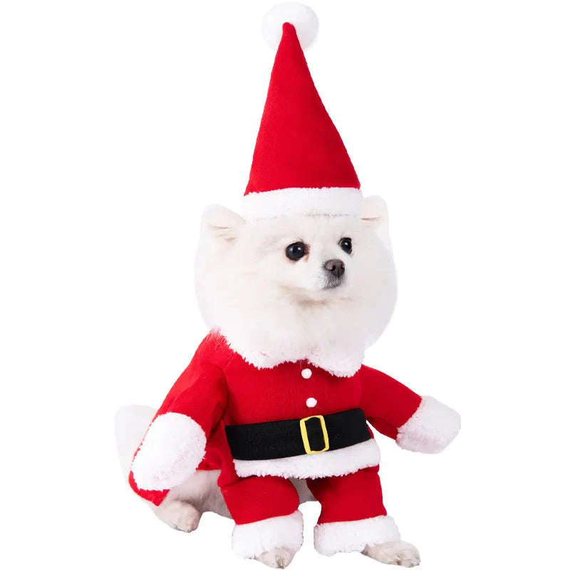 Funny and Festival Costumes - Dog Cat - (S-XL) - (19 Style Options)