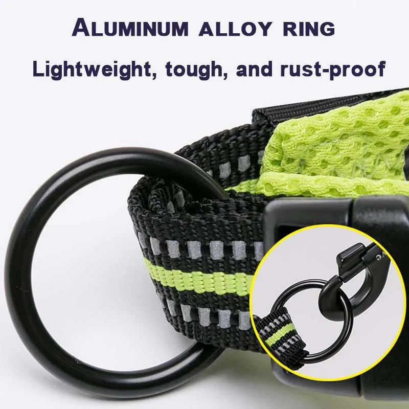 Durable Padded Collar - (Grassgreen) - Dog (While Supplies Last)