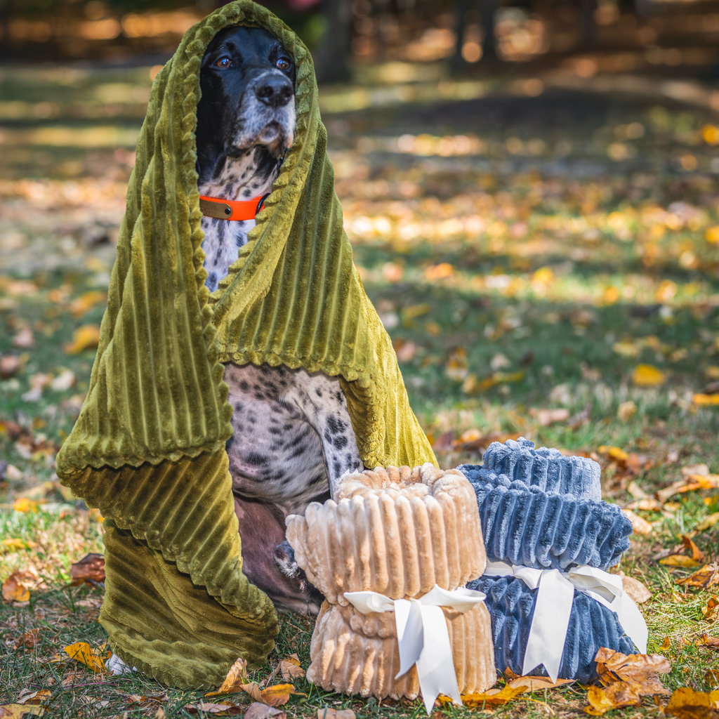 Pet Blanket -  Dog  - (30 in x 40 in) - (Double Sided) - (Plush) - (Scout Blankies) - (3 Color Options)