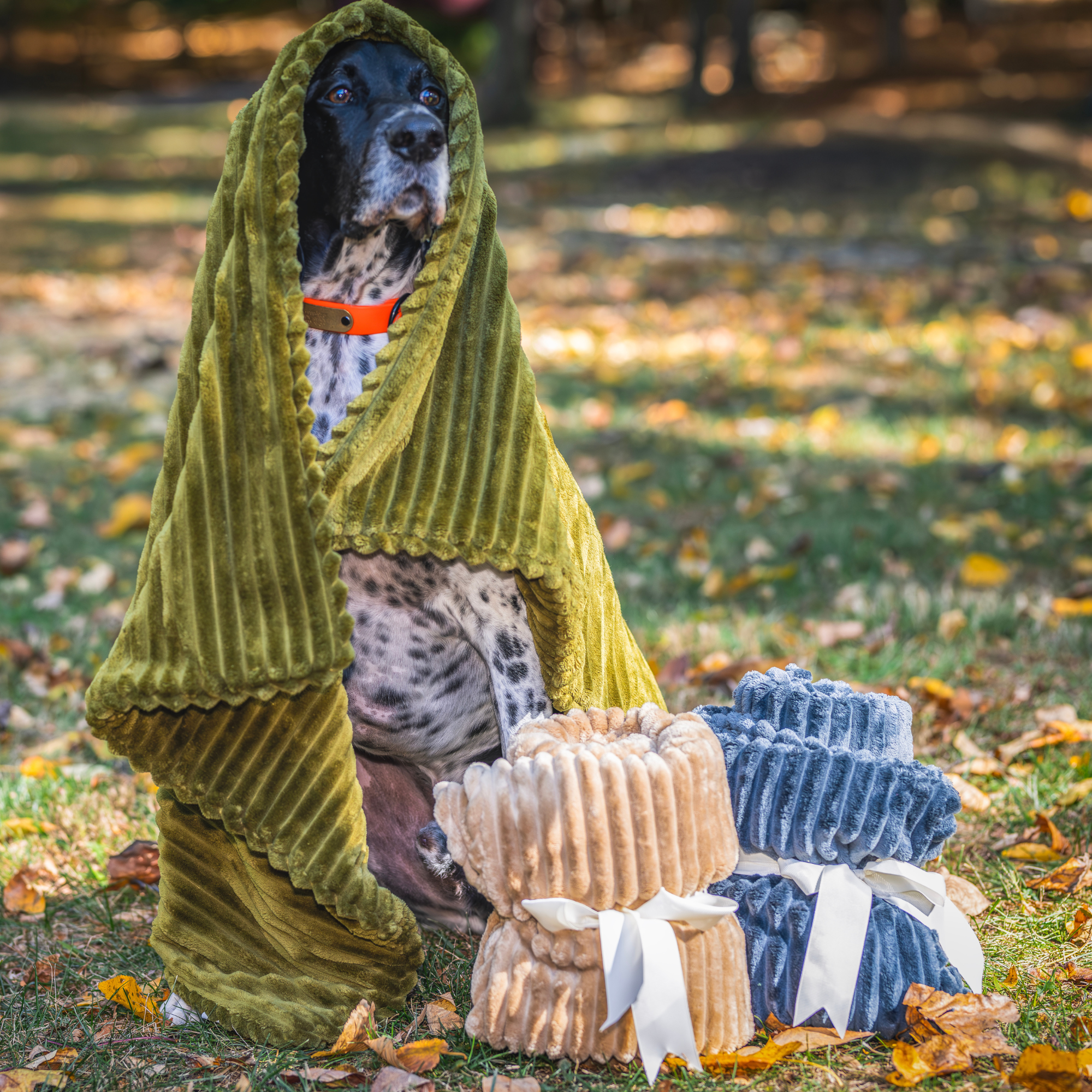 Pet Blanket -  Dog  - (30 in x 40 in) - (Double Sided) - (Plush) - (Scout Blankies) - (3 Color Options)