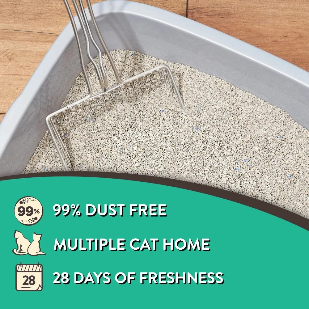 Heavy Duty Odor Control Strong Clump Bentonite Litter- Multi-Cat - (4 pk) - (Unscented) - (While Supplies Last)