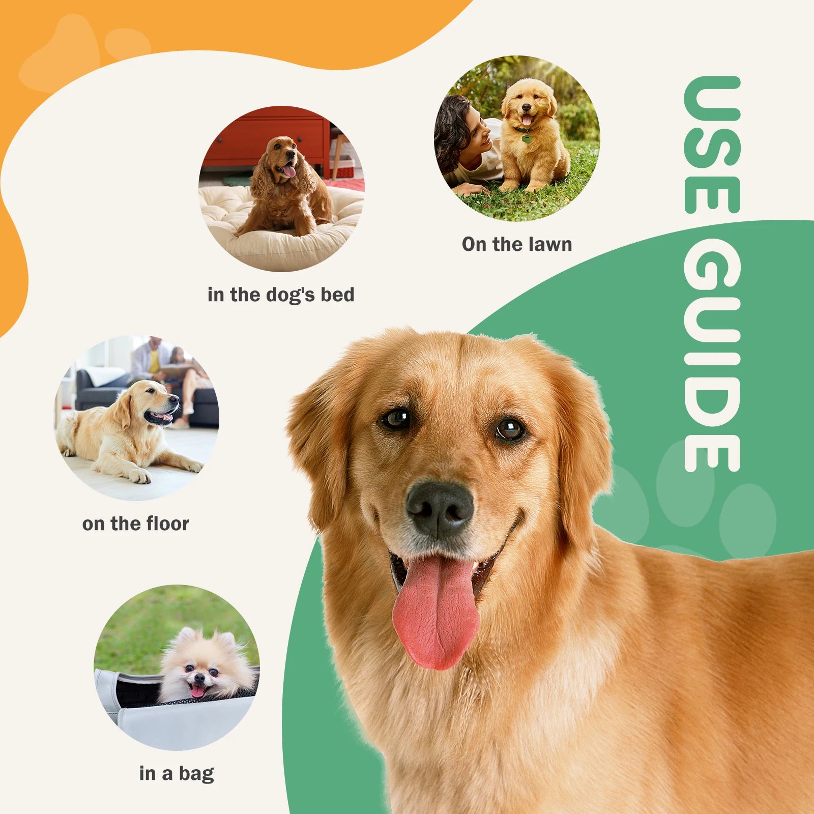 Leak Proof Disposable and Super Absorbent Training Pee Pads - Dog