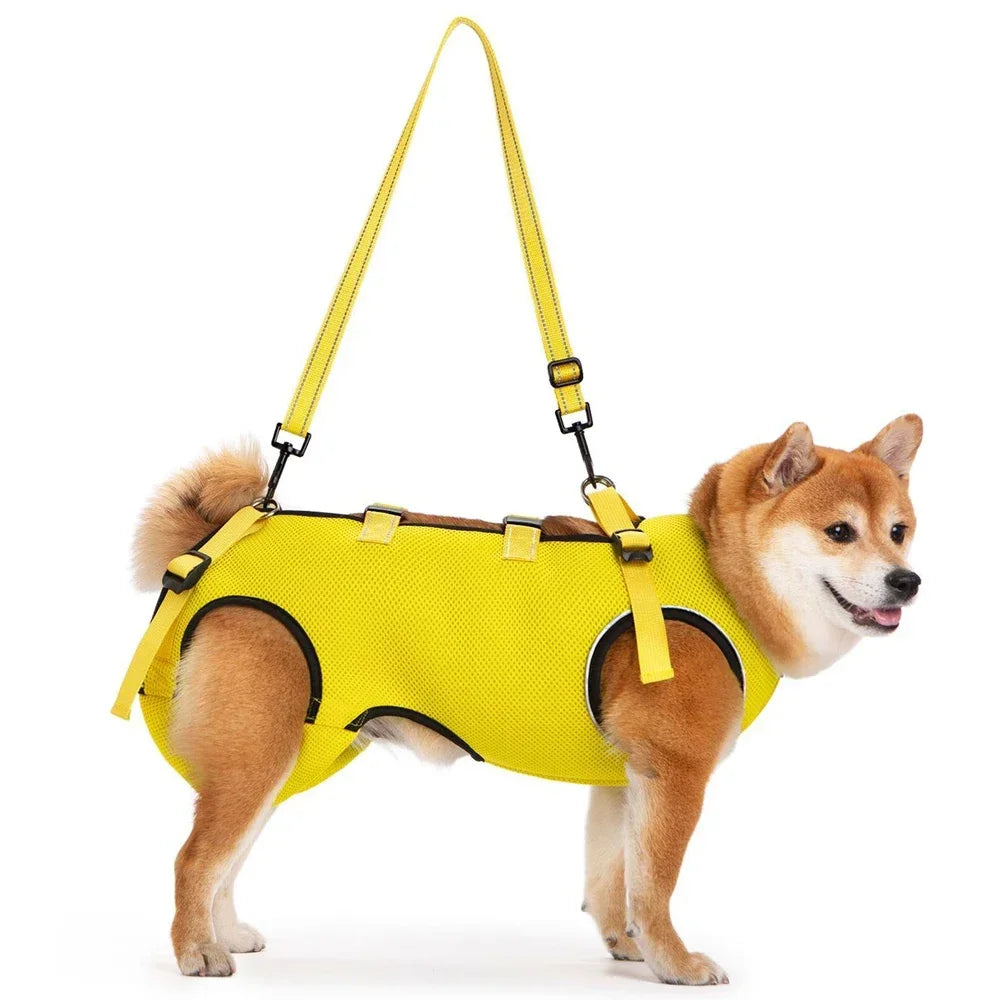 Disabled Elderly Dog Exercise Assist Belt - (XS -XL) (8 Color/Style Options)