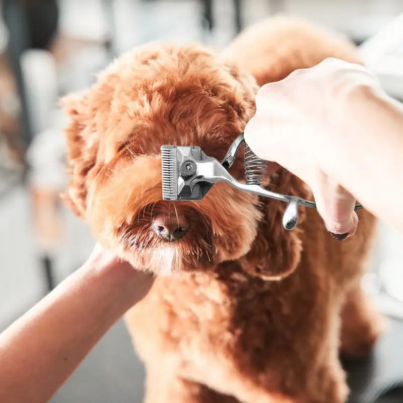 Small Hair Trimmer - Dog Cat - (Stainless Steel) - (Hand-Held)