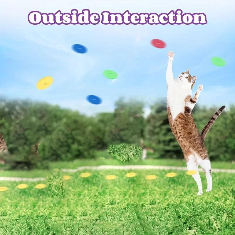 Interactive Toy with Colorful Flying Discs Set -  Cat - (3 Options) - (While Supplies Last)