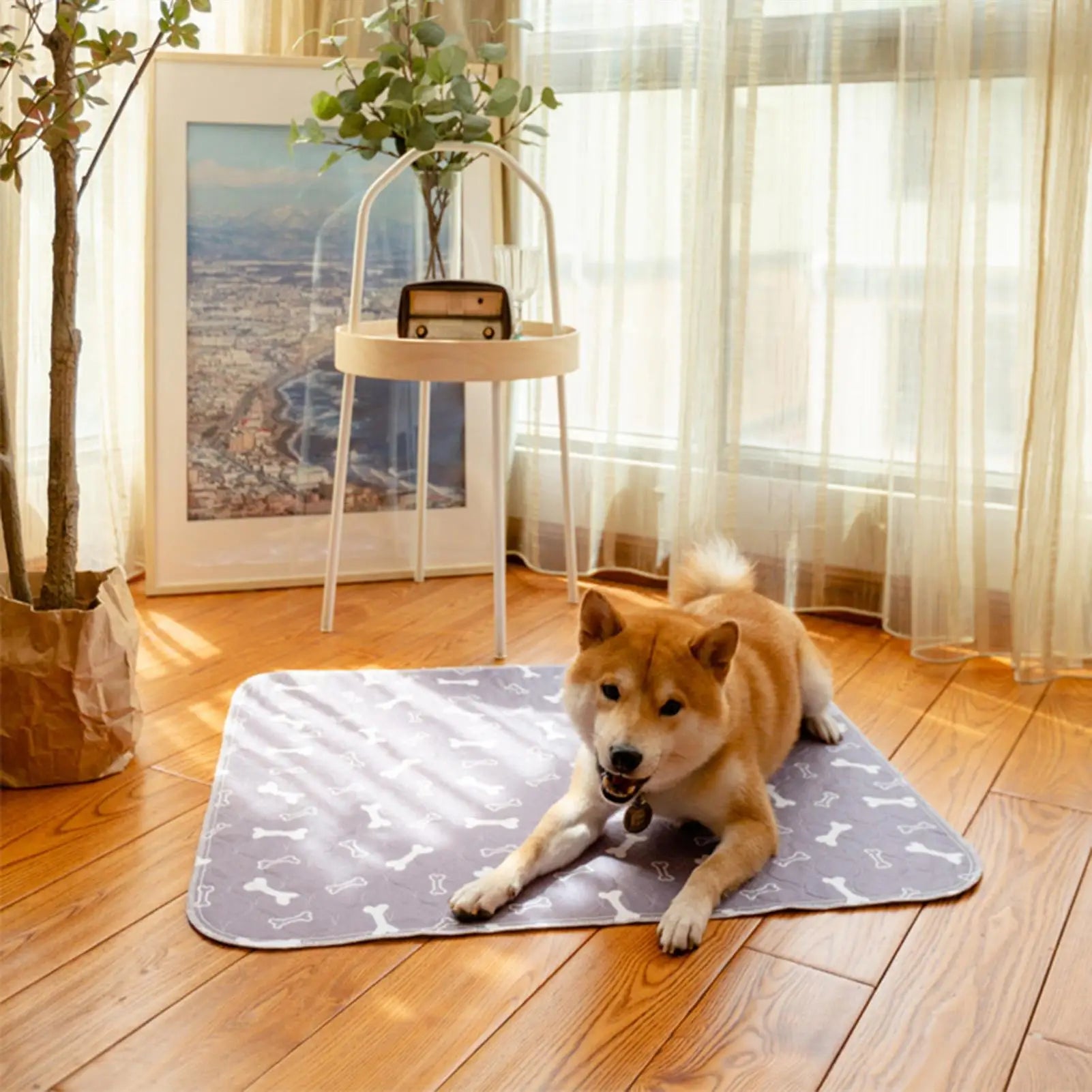 Potty Training Mat - Dog  - (Leak-Proof) - (3 Color Options) - (While Supplies Last)