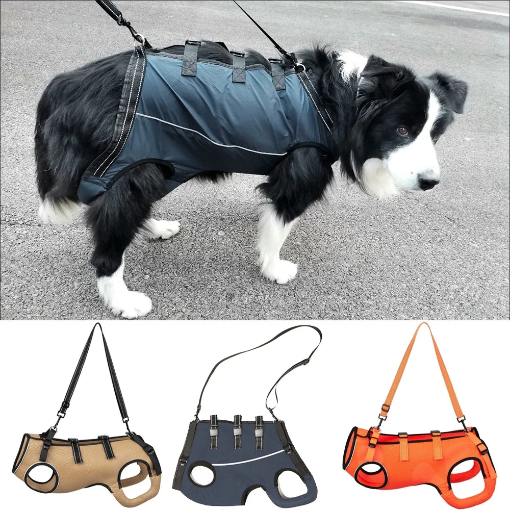 Disabled Elderly Dog Exercise Assist Belt - (XS -XL) (8 Color/Style Options)