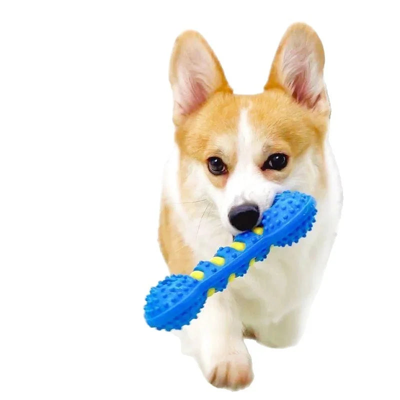 Dog Teeth Cleaning Toy Bone