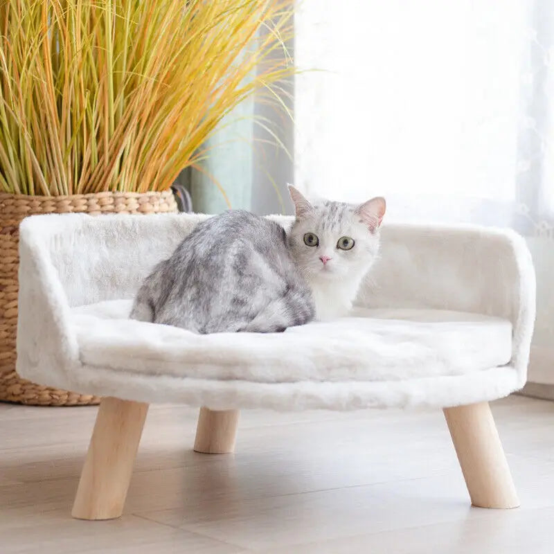 Luxury Plush Bed on Wood Legs - Dog Cat